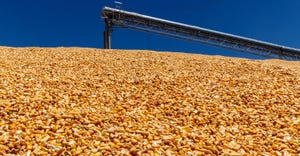 Corn and Grain Handling or Harvesting Terminal. 
