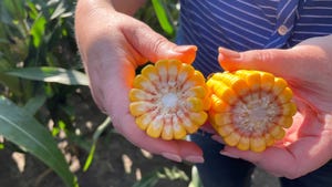 2023 Corn Trials: See Instinct NXTGEN® Results