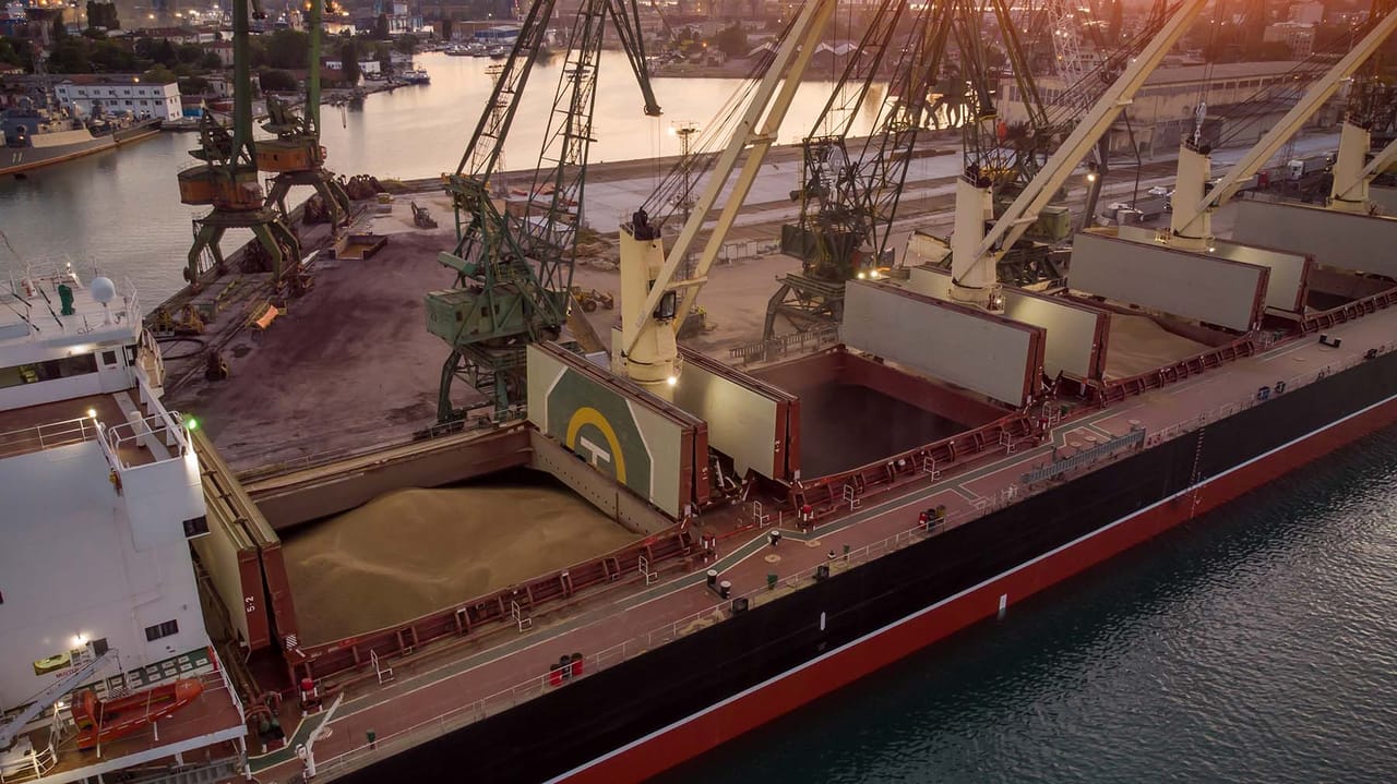 Export ship