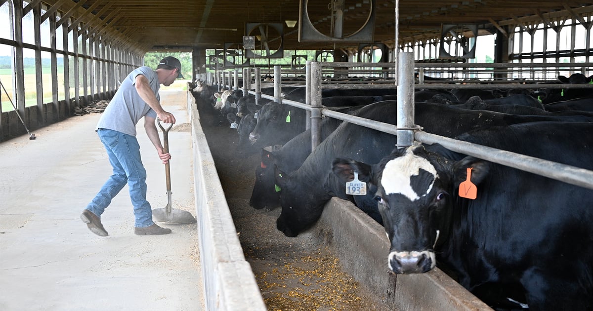 JBS plant closure upends Lancaster County cattleman's plans