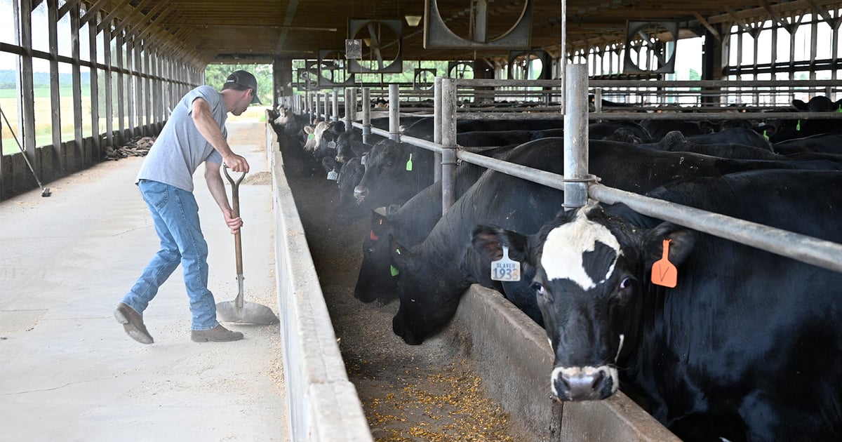 JBS plant closure upends Lancaster County cattleman's plans