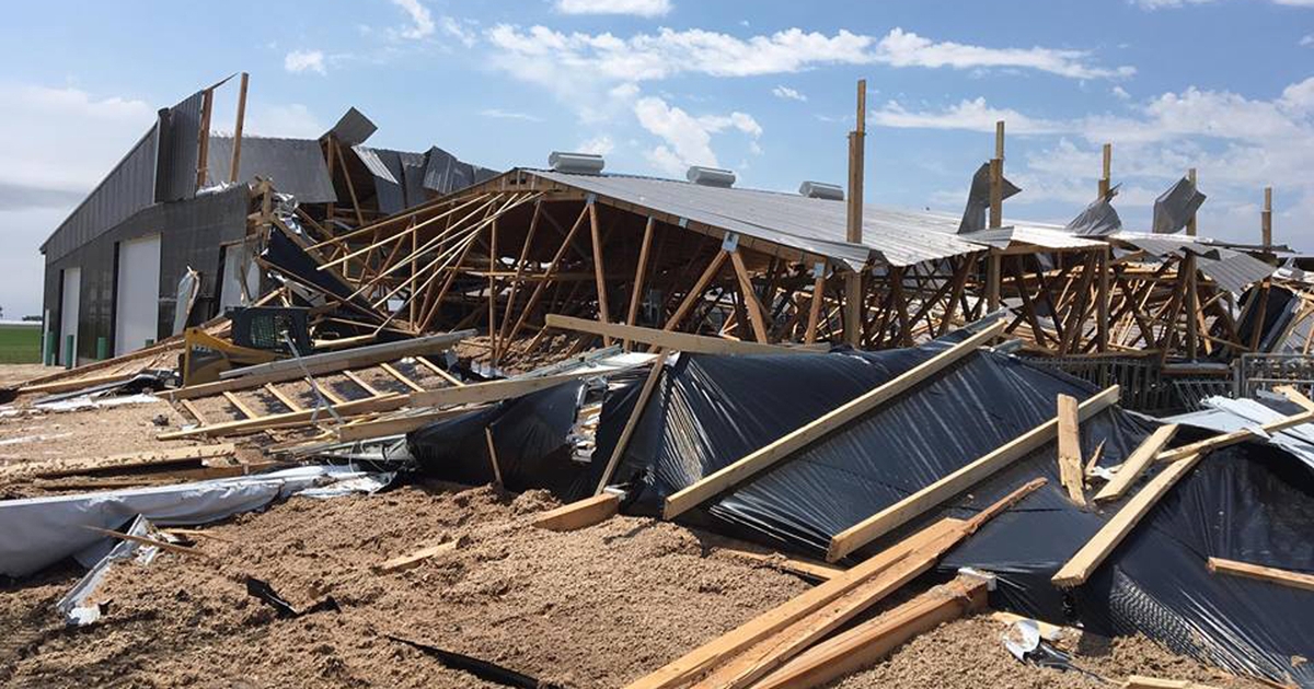 Farmers show what June Dairy Month really means