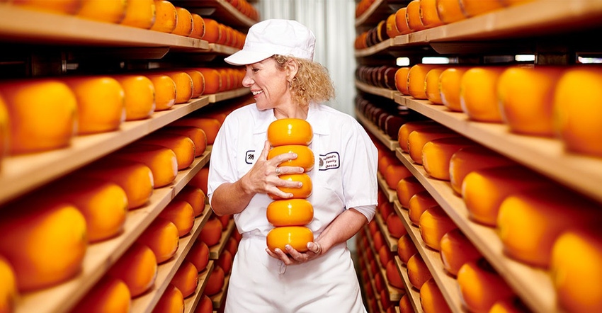 Marieke Penterman flanked on two sides by shelves of yellow cheese wheels