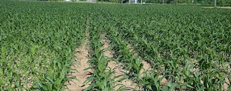 row_shut_offs_planters_are_growing_technology_1_635225382283181214.JPG