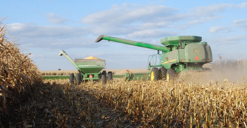 Combine in cornfield