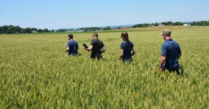 A group of wheat buyers heads into a field outside Lebanon, Pa., to help count wheat heads and spikelets
