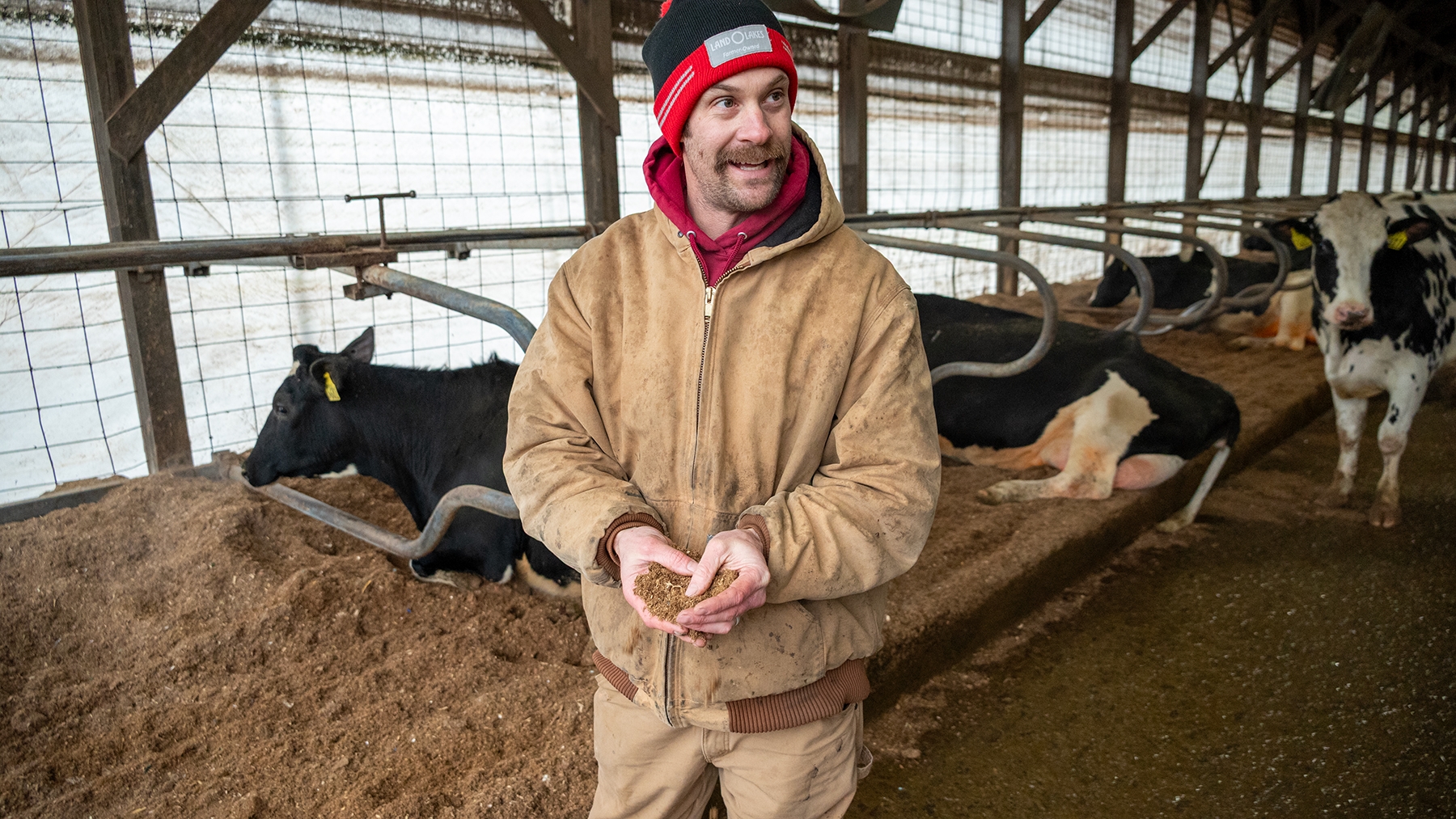 Brett Reinford with a handful of cow bedding 