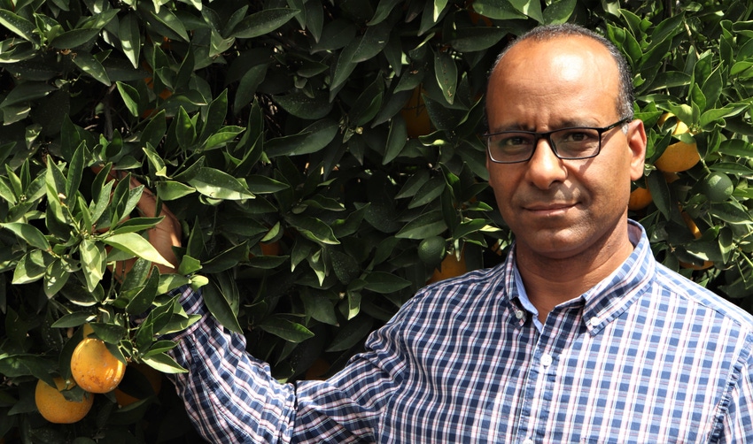 Ashraf El-kereamy Ashraf El-kereamy