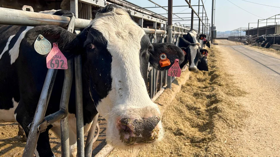 Check out these 12 recent agricultural breakthroughs