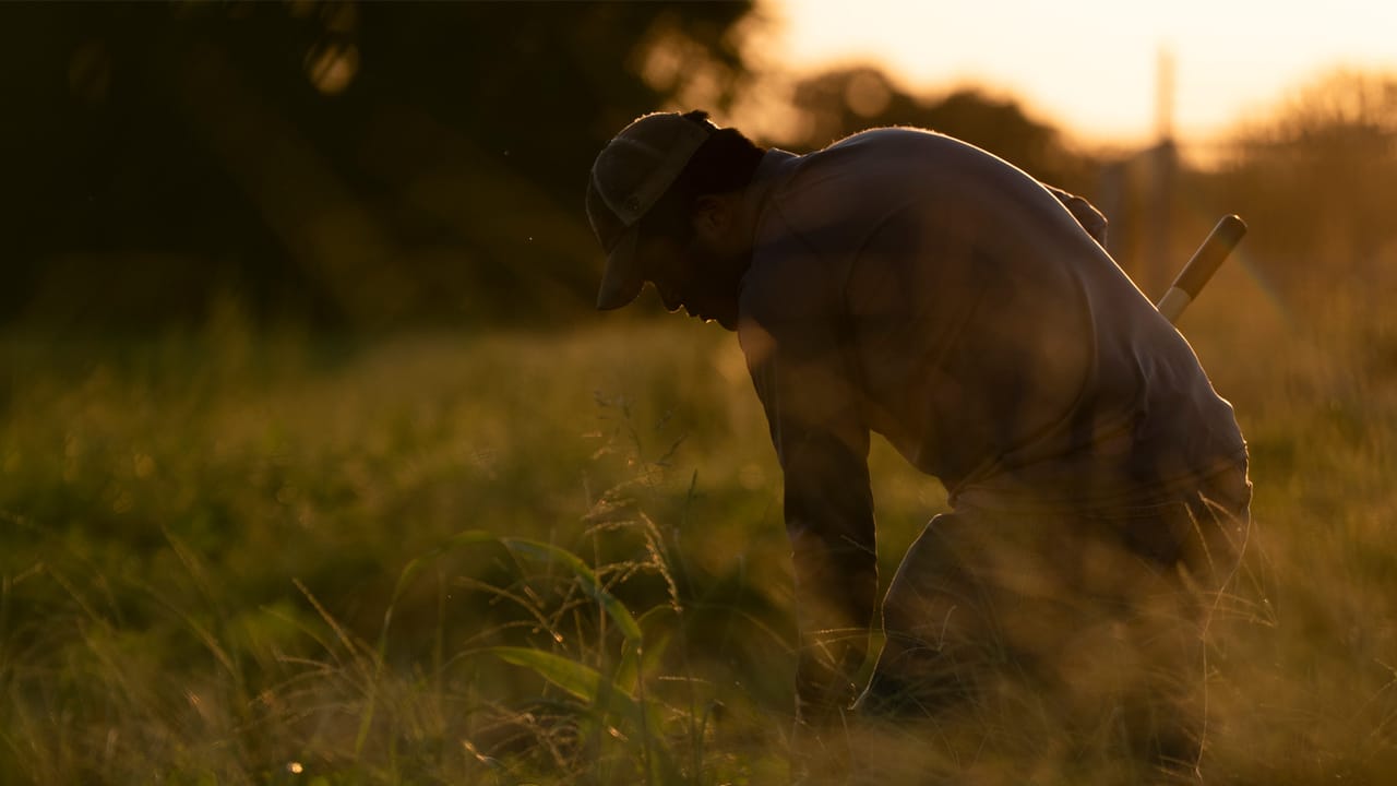 0105H1-423B-chris-swann-farmer-field.jpg 0105H1-423B-chris-swann-farmer-field.jpg