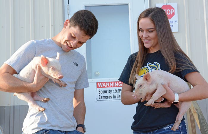 Karl II Schenk and his sister, Kyra, holds two of the healthy, antibiotic-free pigs 