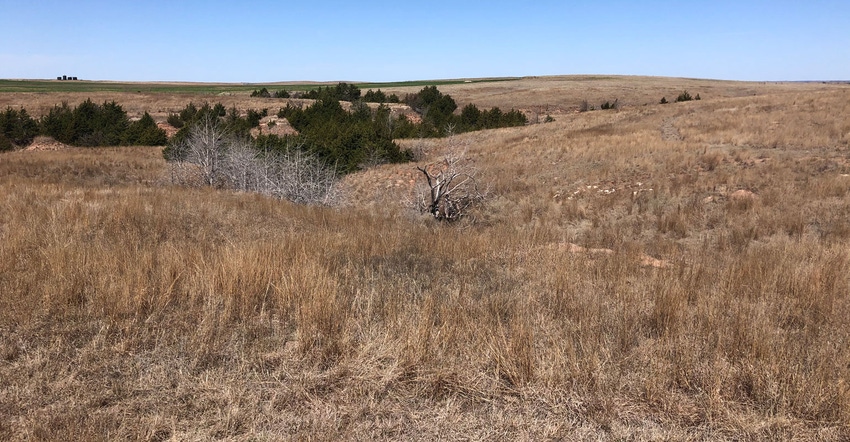 Gypsum Hills range is recovering from the Anderson Creek Fire of 2016