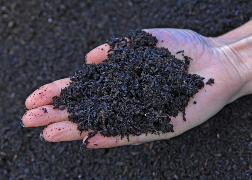 Biochar emerges as soil amendment for agriculture