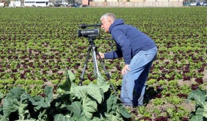 UC's Jeff Mitchell shoots video in a vegetable field.