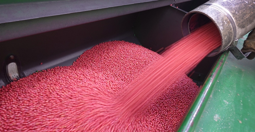 soybean seed being loaded into grain drill