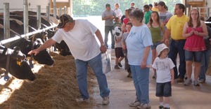 Visitors to Schefers dairy farm interact with Holstein cattle