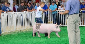 young girl showing hog at iowa state fair