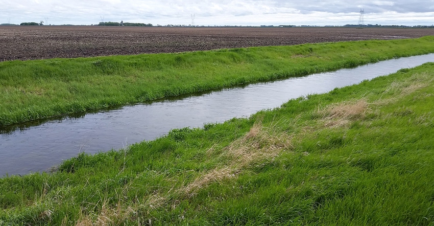 a water-filled ditch with grass buffer on the edge of a field