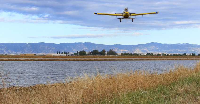 Plane seeding rice field