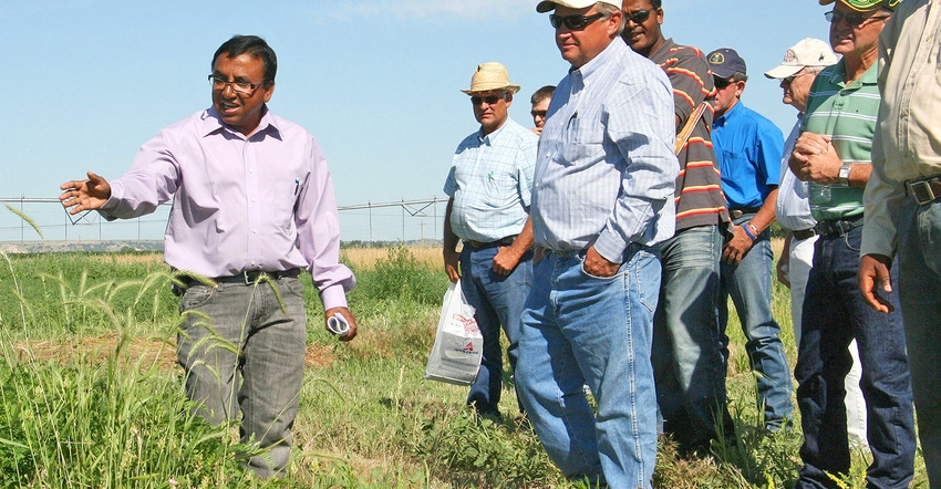 Anowar Islam, left, speaks with group in forage field
