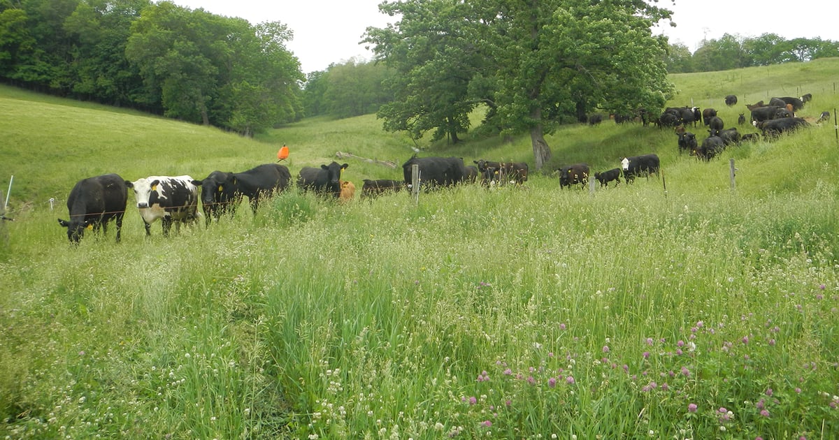 Pasture rental rates vary widely