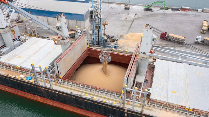 Export Report: Soybean sales rebound with solid performance