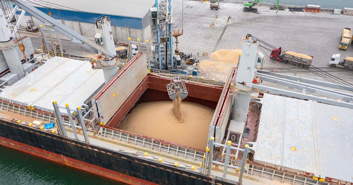 Soybeans lead USDA Export Sales Report