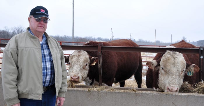 Dick Godfrey pictured with Hereford bulls 