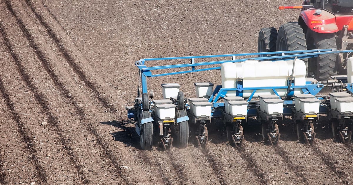 Will Iran war shift corn acres? USDA report drops March 31