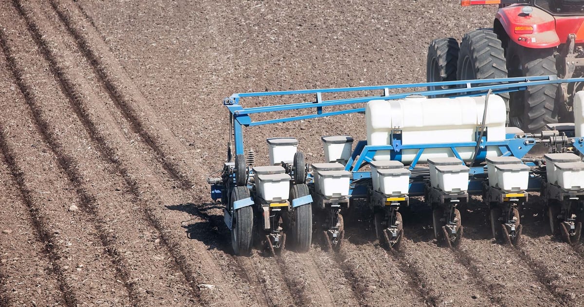 Will Iran war shift corn acres? USDA report drops March 31