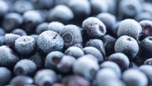 frozen blueberries up close