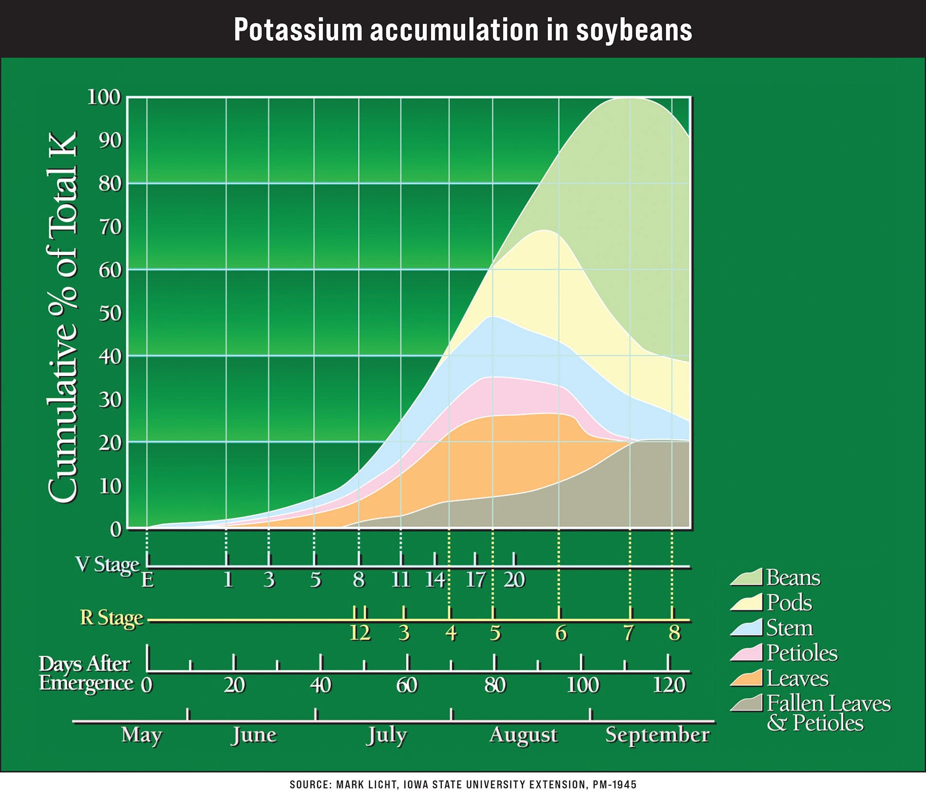 A graph showing Potassium accumulation in soybeans A graph showing Potassium accumulation in soybeans