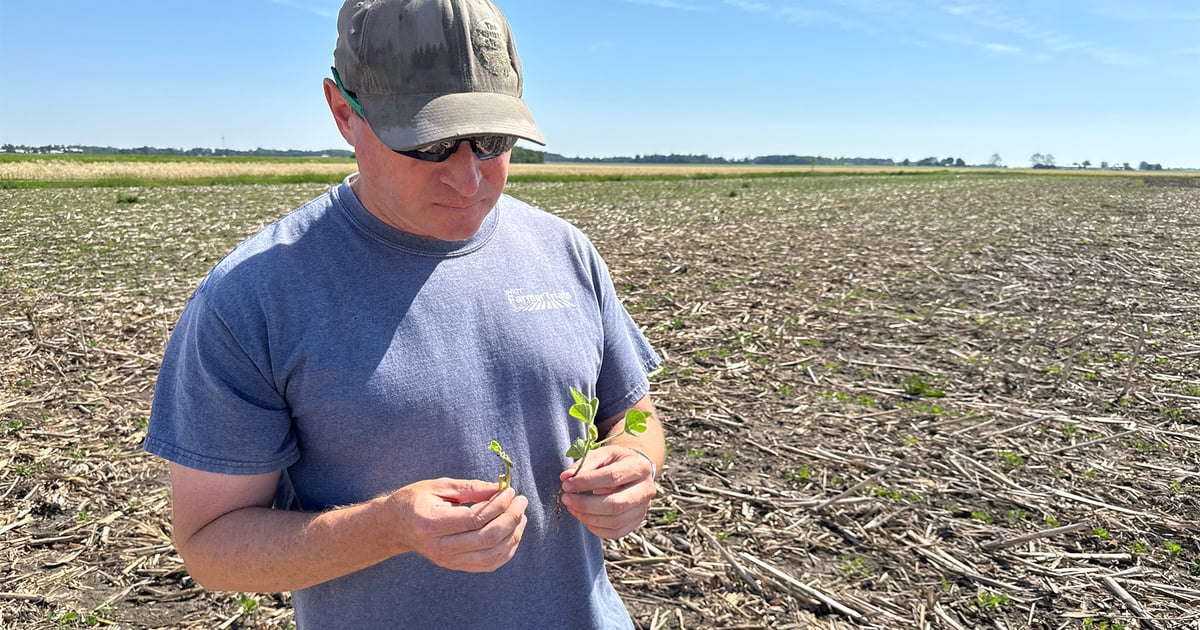 Midwest farmers face split planting conditions in May