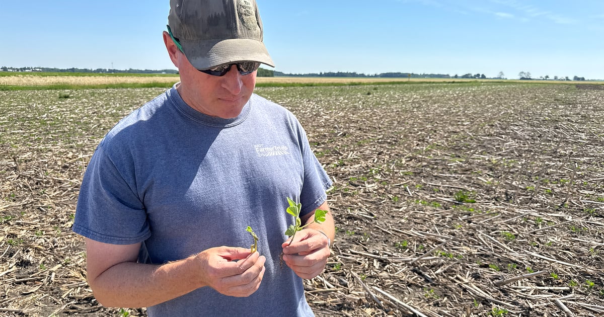 Midwest farmers share planting-season triumphs, challenges