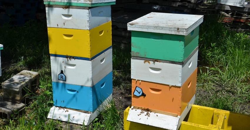 beehive boxes