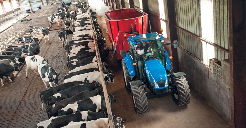 A tractor delivers silage to dairy cows inside a barn