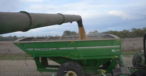 auger loading grain into grain cart