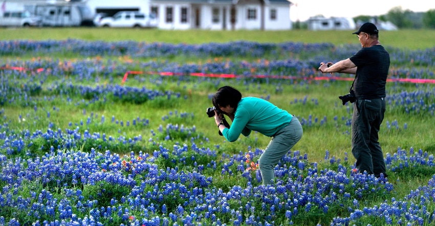 Wildflower-Photographers.jpg Wildflower-Photographers.jpg
