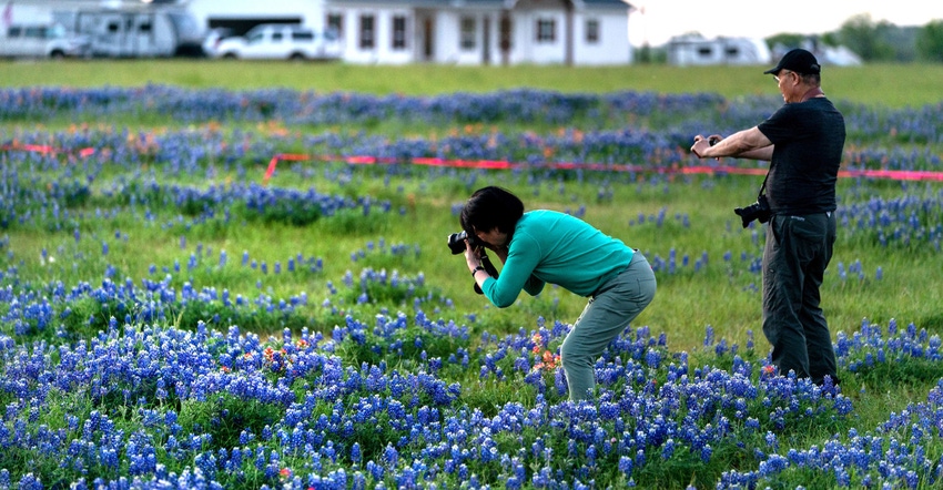 Wildflower-Photographers.jpg