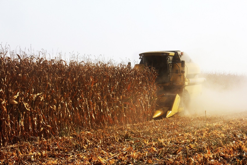 10.02 corn combine fb_2.jpg 10.02 corn combine fb_2.jpg