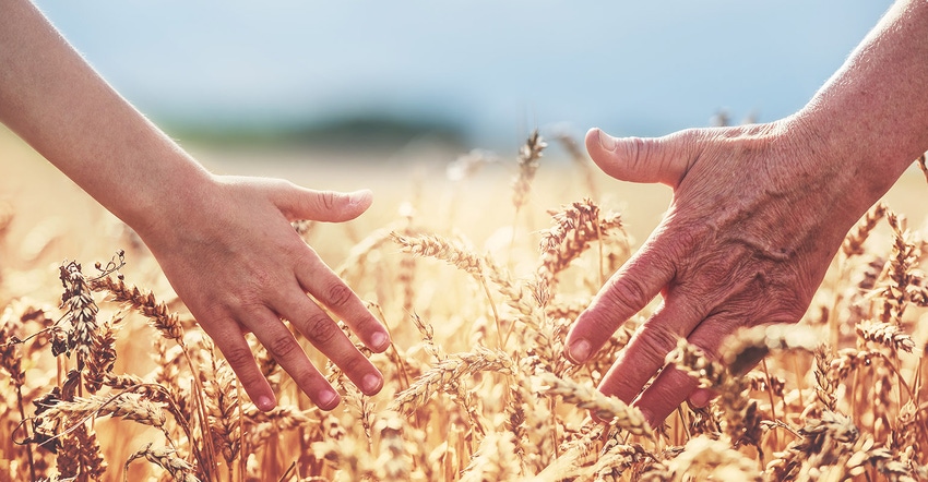 two generations - hands in wheat field