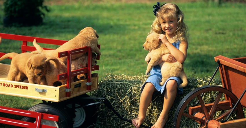 A young girl holding a puppy with a wagon full of puppies next to her
