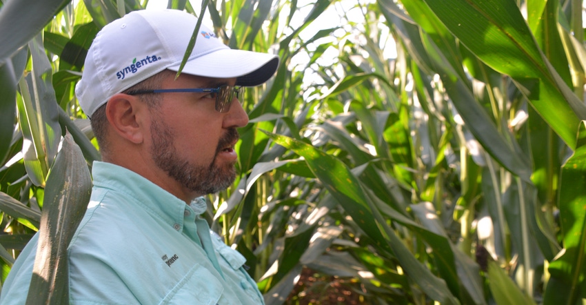 Craig Austin, an agronomist with Syngenta, walks the Grow More Experience plot looking for disease and weed issues