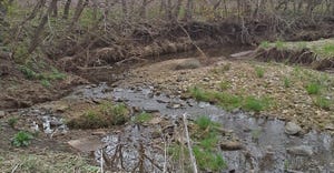 eroded stream bank
