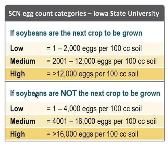 table showing SCN egg count categories
