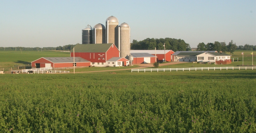 cornfield in front of a working farm with red buildings and silos