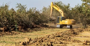 wfp-todd-fitchette-orchard-removal-440.jpg