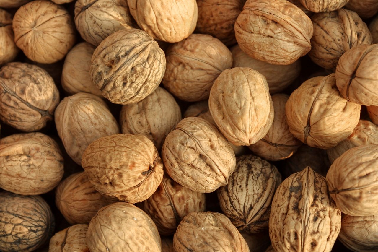 Bbaoding Walnuts Walnut board promotes health info to boost demand