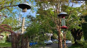 WFP-OSU-bird-feeders.jpg