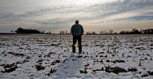 farmer looking off into the distance across a snow-covered cornfield 